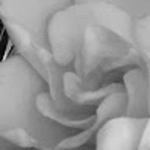 Meet your Posher, Leila